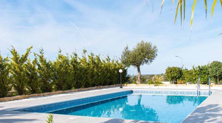 section catalog photo