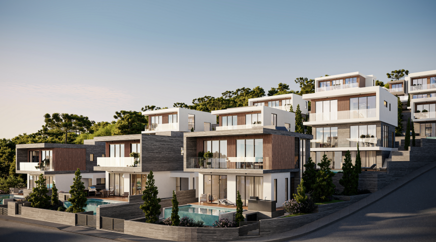 section catalog photo