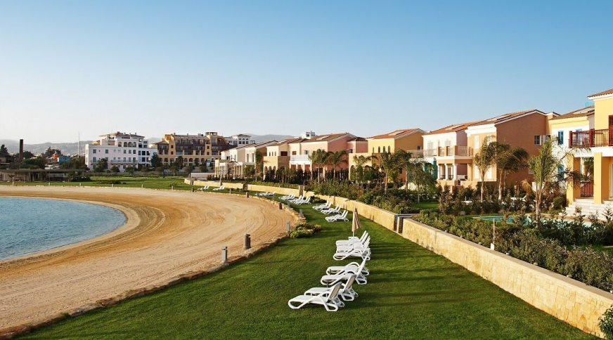 section catalog photo