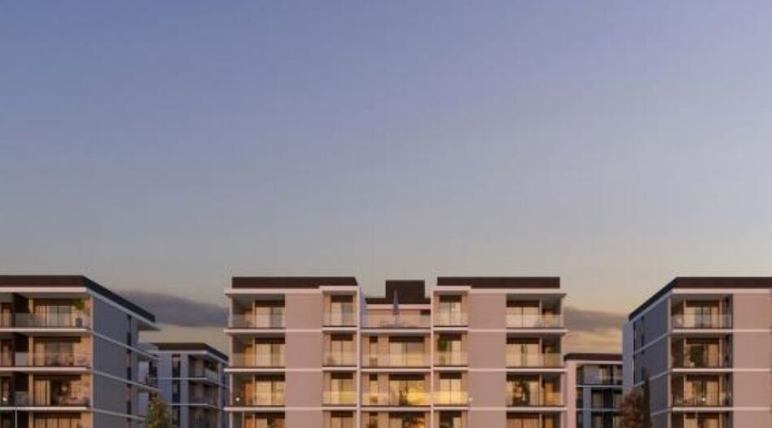 section catalog photo