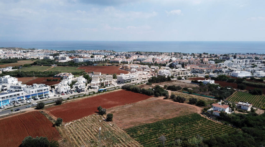 section catalog photo