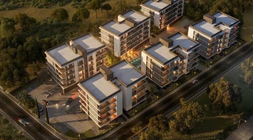 section catalog photo