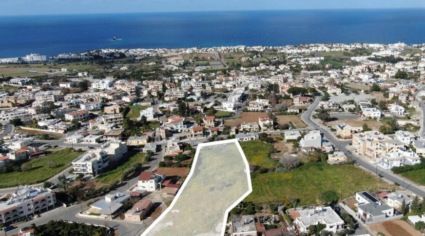 section catalog photo