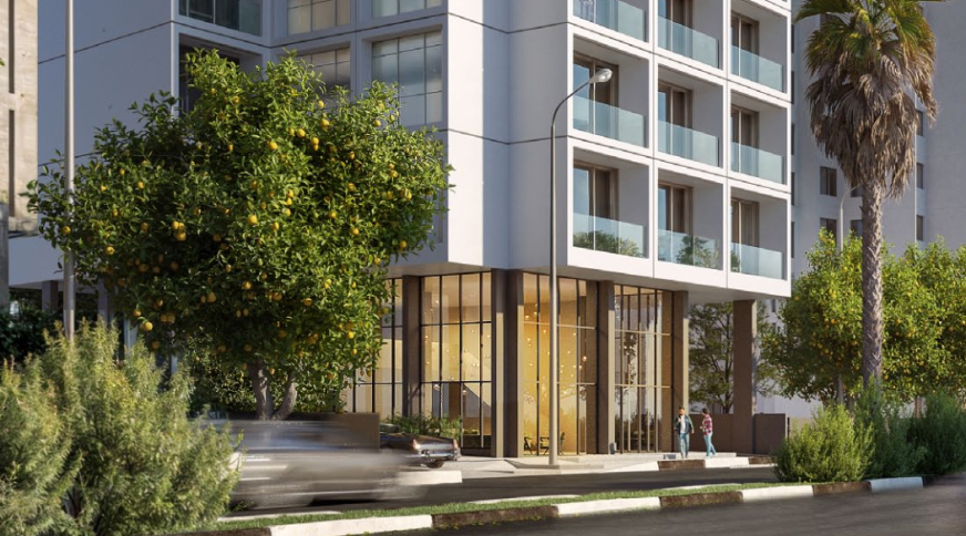 section catalog photo