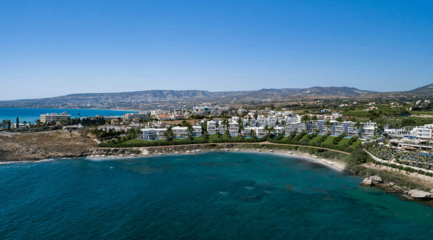 section catalog photo