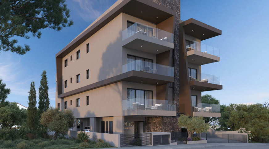 section catalog photo