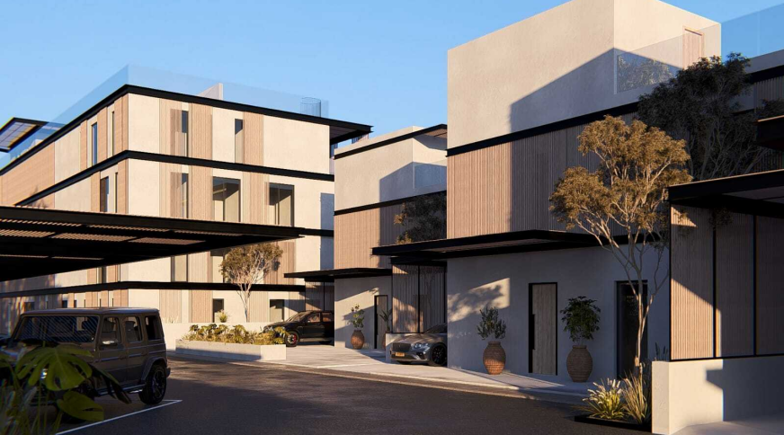 section catalog photo