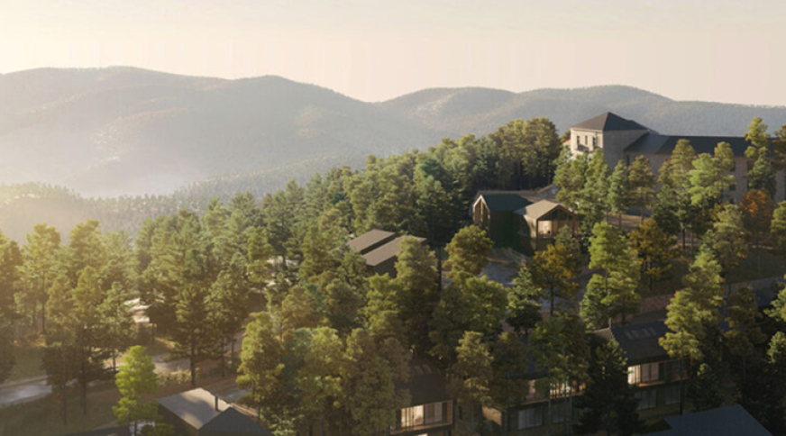 section catalog photo