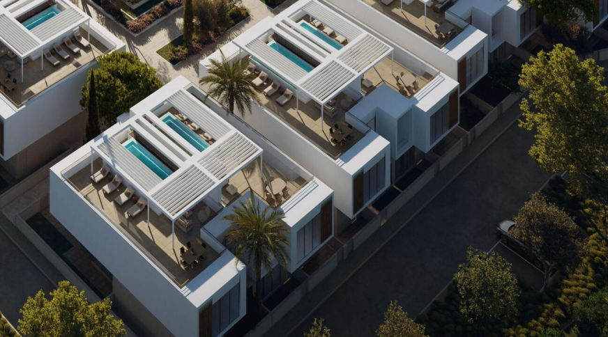 section catalog photo