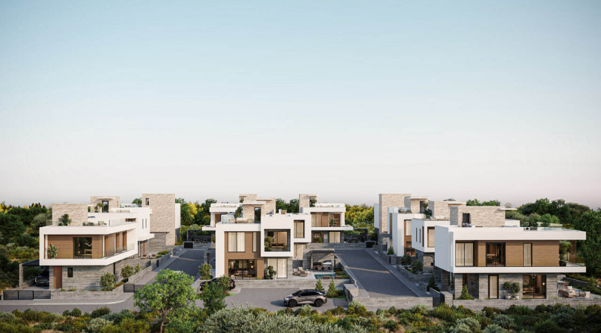 section catalog photo