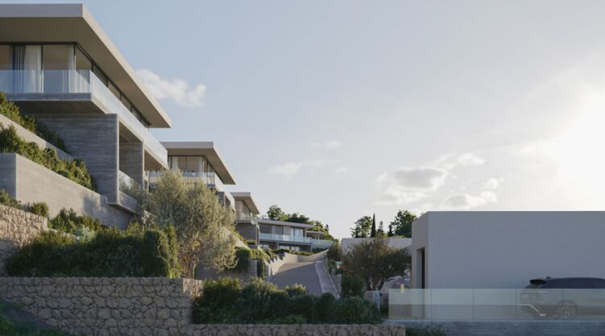 section catalog photo