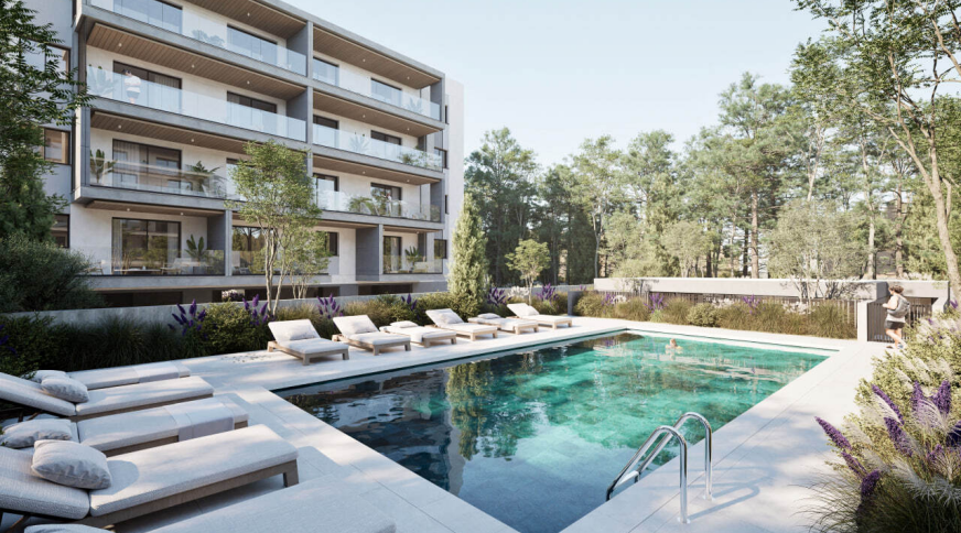 section catalog photo